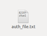 auth file txt